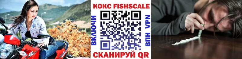 Cocaine FishScale  Новодвинск 