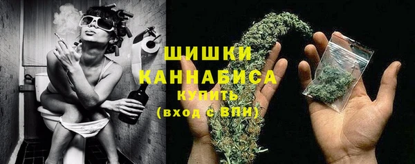 сатива Богородицк