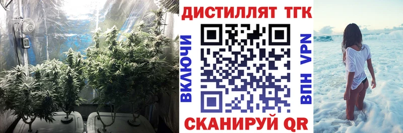 ТГК концентрат Новодвинск